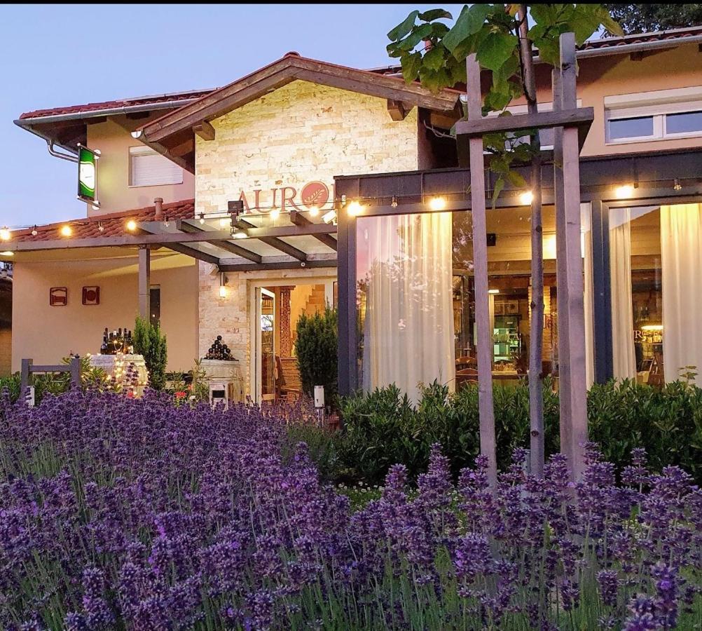 Aurora Panzio Bed and Breakfast Bük Εξωτερικό φωτογραφία